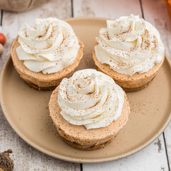 No Bake Mini Pumpkin Pies - Recipe photo by thecaglediaries