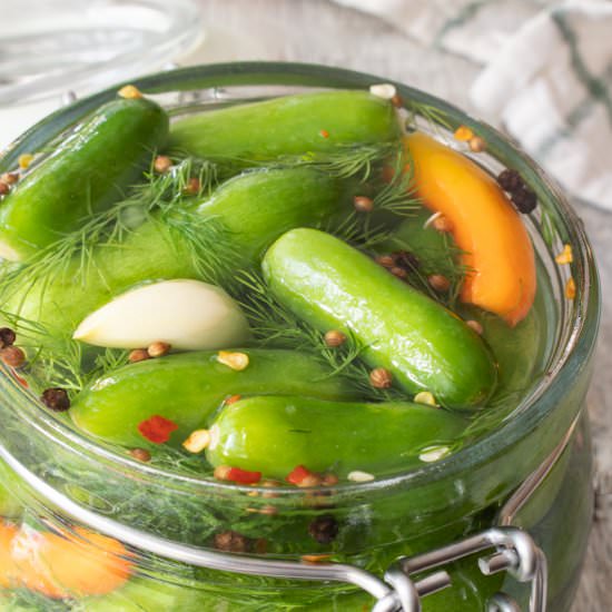 Refrigerator Spicy Baby Dill Pickle - Recipe photo by For the Love of Cooking