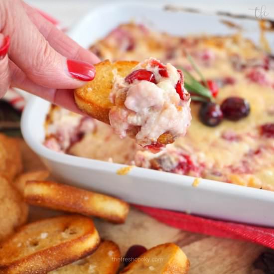 Cranberry Cream Cheese Dip (hot) - Recipe photo by thefreshcooky