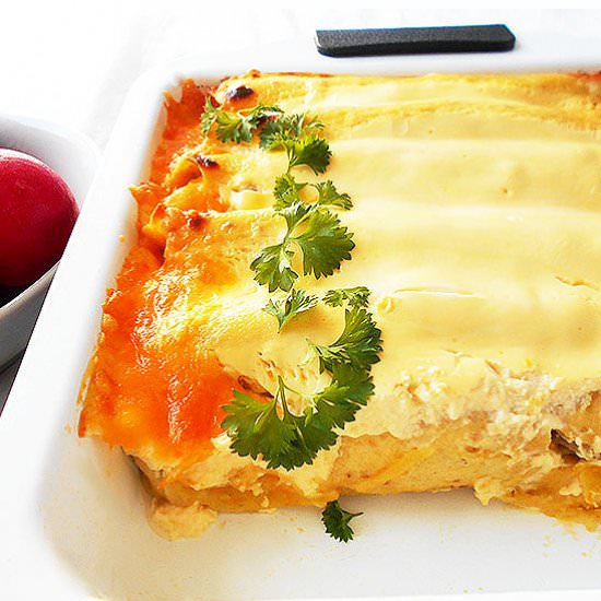 Rotisserie Chicken Enchiladas - Recipe photo by 2pots2cook