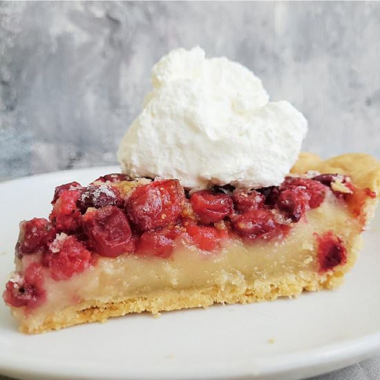 Cranberry Custard Pie - Recipe photo by WhiskingWolf