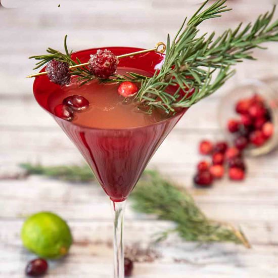 Cranberry Martini or Cosmpolitan - Recipe photo by iwilkerson