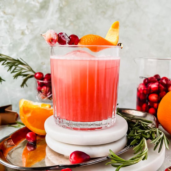 Cranberry Whiskey Sour - Recipe photo by apaigeofpositivity