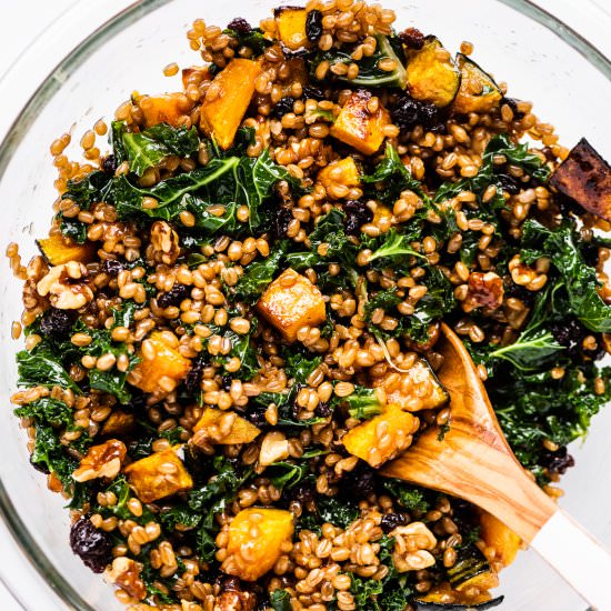 Wheat Berry Salad - Recipe photo by The Endless Meal