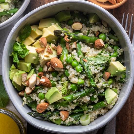Spring Quinoa Salad - Recipe photo by The Endless Meal