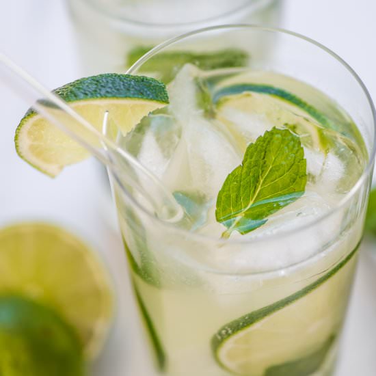 Mint Mojitos - Recipe photo by The Endless Meal