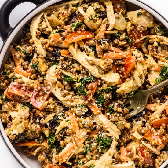 Chicken Wheat Berry Salad - Recipe photo by The Endless Meal