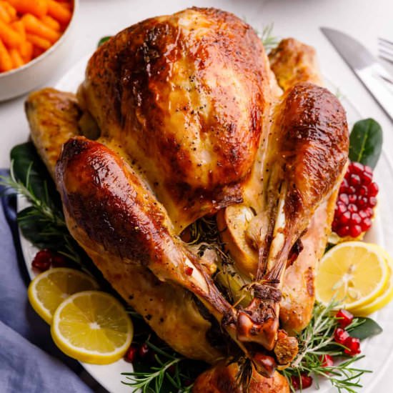 Roast Turkey - Recipe photo by AllThingsMamma