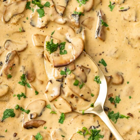 Creamy Mushroom Sauce - Recipe photo by sugarsaltmagic