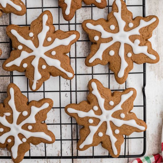 Snowflake Gingerbread Cookies - Recipe photo by thecaglediaries