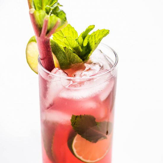 Rhubarb Mojito - Recipe photo by The Endless Meal