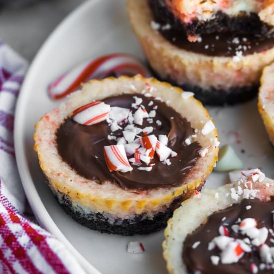 Peppermint Bark Cheesecake Bites - Recipe photo by Kathryns.kitchen.blog