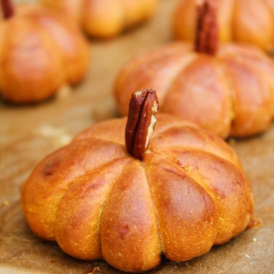 Pumpkin Dinner Rolls - Recipe photo by Paromita Mandal