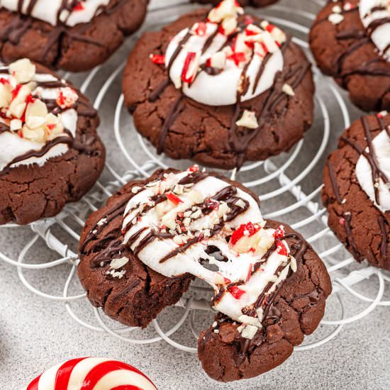 Peppermint Hot Chocolate Cookies - Recipe photo by Lemon blossoms