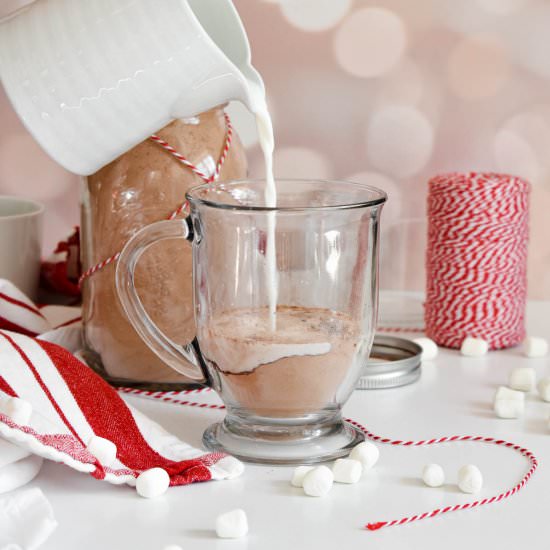 Homemade Hot Cocoa Mix - Recipe photo by stressbaking