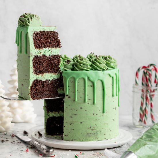 Mint Chocolate Cake - Recipe photo by grandbabycakes