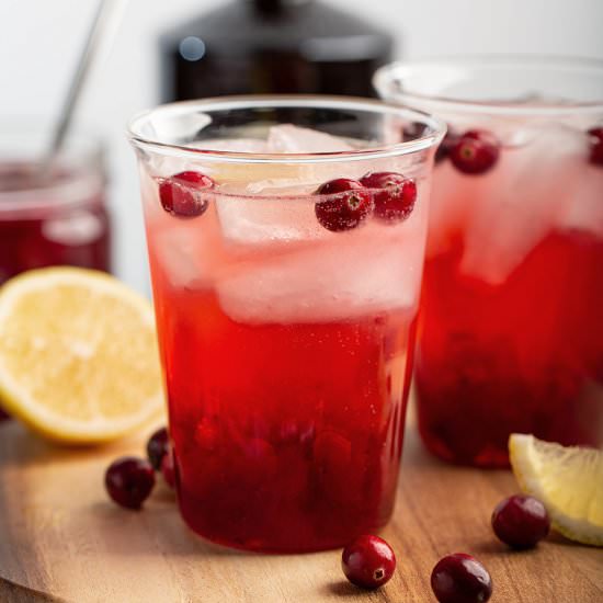 Fresh Cranberry Gin and Tonic - Recipe photo by Lokness