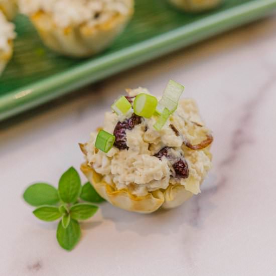 Easy Turkey Salad Appetizers - Recipe photo by House of Elyn Ryn
