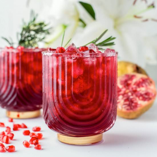 Hibiscus Pomegranate Margarita - Recipe photo by dishnthekitchen
