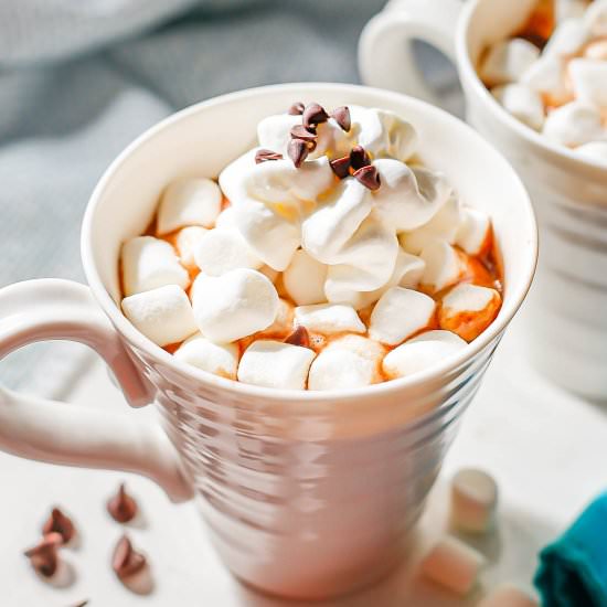 Crock pot hot chocolate - Recipe photo by Family Food on the Table