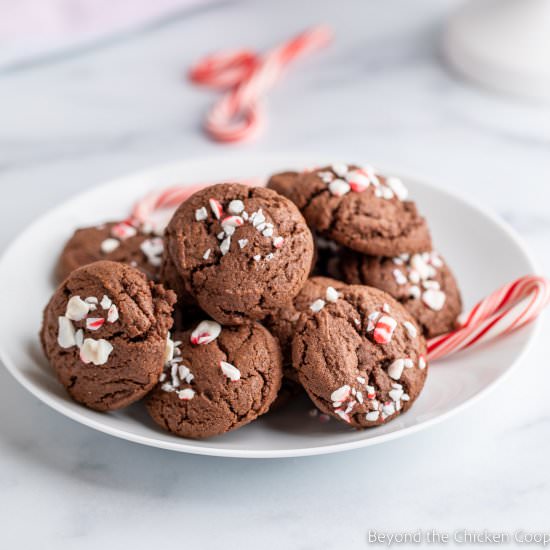 Chocolate Peppermint Cookies - Recipe photo by BeyondtheCoop
