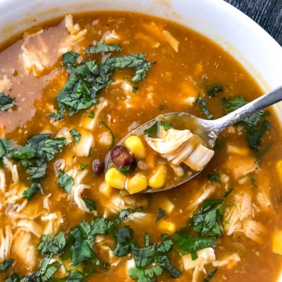 Easy Chicken Enchilada Soup - Recipe photo by MyLifeCookbook