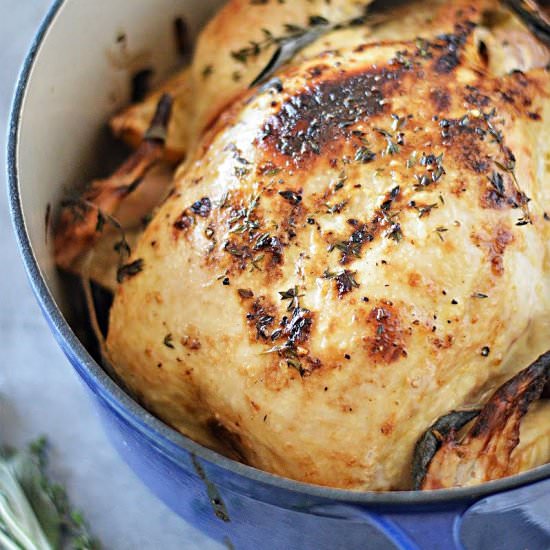 MAYO ROASTED CHICKEN - Recipe photo by Stylish Cravings