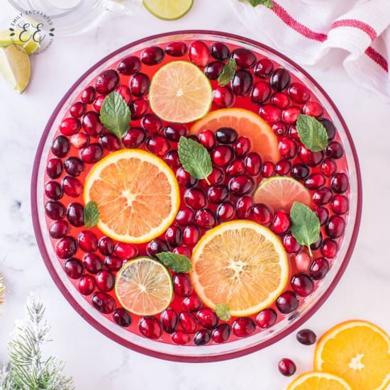 Christmas Punch - Recipe photo by emilyenchanted