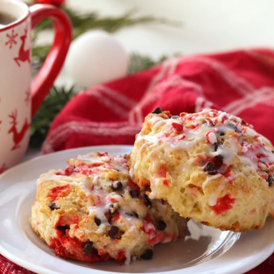 Chocolate Peppermint Scones - Recipe photo by One Hot Oven