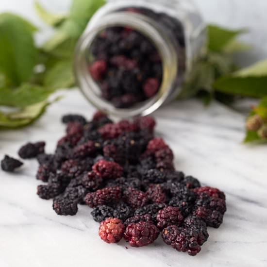 Dehydrating Blackberries - Recipe photo by BinkysCulinaryCarnival