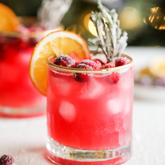 Cranberry Ginger Fizz Mocktail - Recipe photo by TheBetteredBlondie