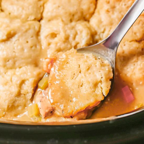 Slow cooker chicken and dumplings - Recipe photo by Family Food on the Table