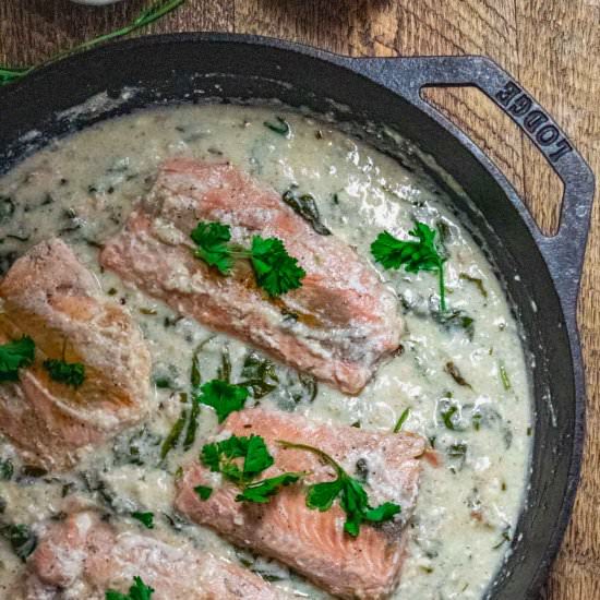 Lemon Garlic Salmon in Creamy Sauce - Recipe photo by Jillianshealthfuleats