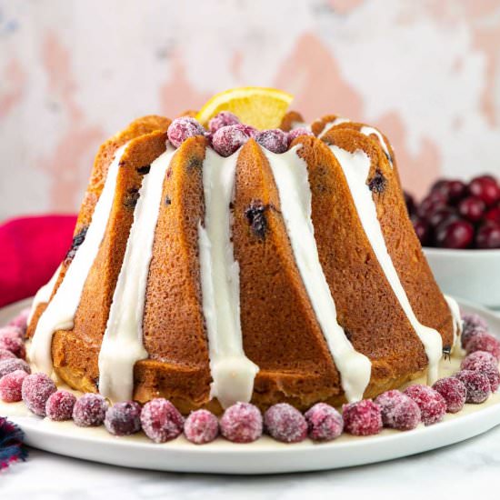 Cranberry Orange Bundt Cake - Recipe photo by bunsenburnerbakery