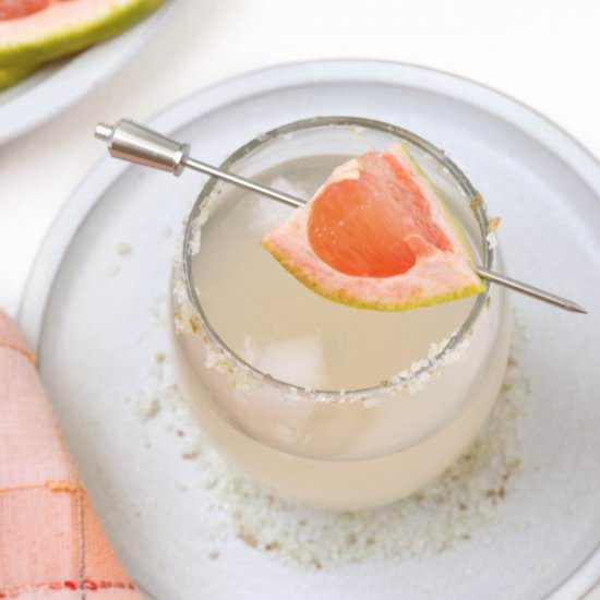 salty dog cocktail - Recipe photo by wetrinifood