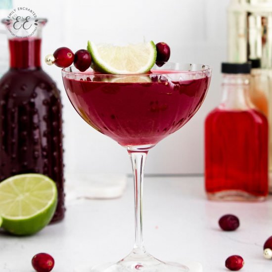 Cranberry Gimlet - Recipe photo by emilyenchanted