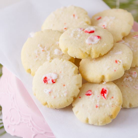 Peppermint Sugar Cookies - Recipe photo by dwayland