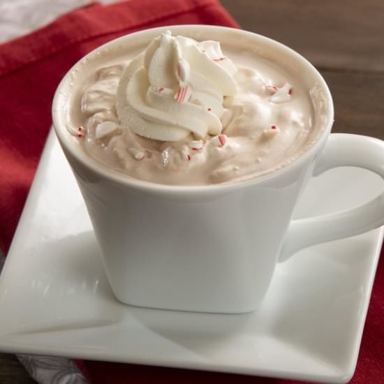 Peppermint Hot Chocolate - Recipe photo by farmflavor