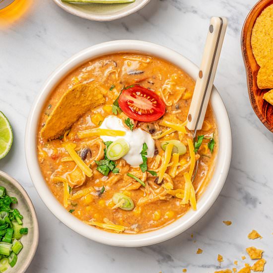 Chicken Enchilada Soup - Recipe photo by Lemon blossoms