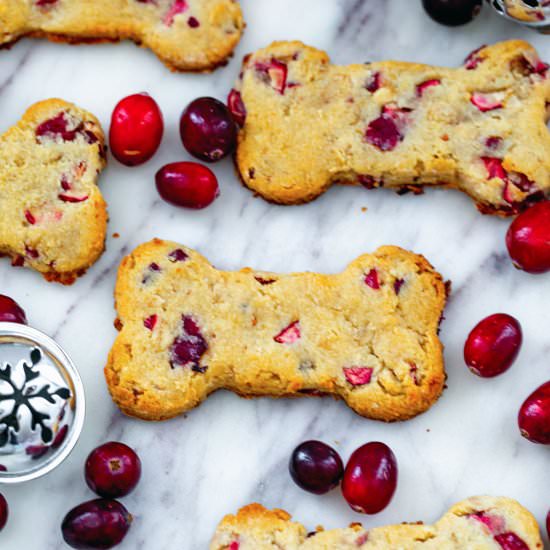 Cranberry Dog Treats - Recipe photo by Wearenotmartha