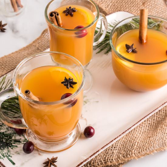 Wassail Hot Mulled Cider Recipe - Recipe photo by thefreshcooky