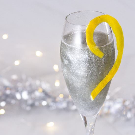 Champagne Cocktail - Recipe photo by dwayland