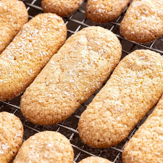 Homemade Ladyfingers - Recipe photo by Jessica Gavin