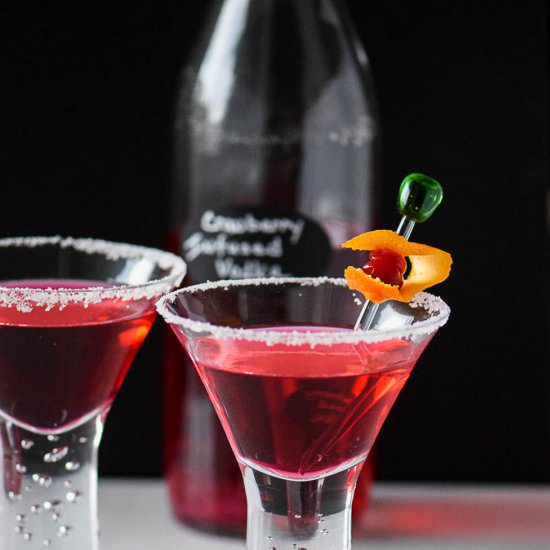 Cranberry Infused Vodka - Recipe photo by foodiegirlchicago