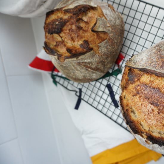 No Knead Sourdough Recipe - Recipe photo by cookingwithteamj
