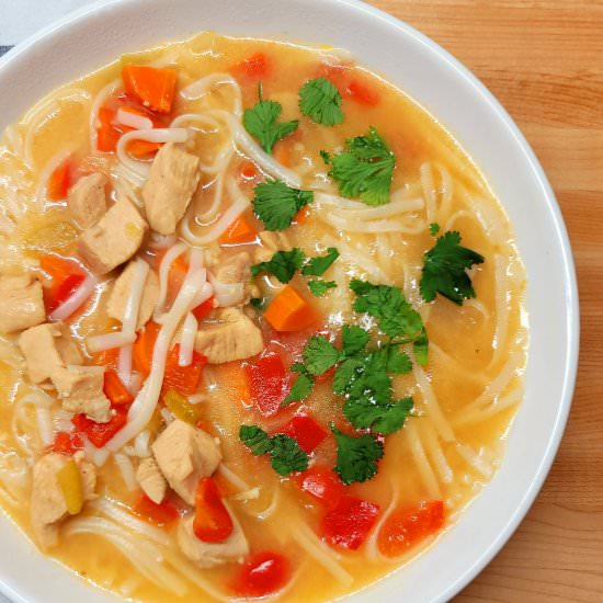 Ginger Chicken Noodle Soup - Recipe photo by Estelle Forrest