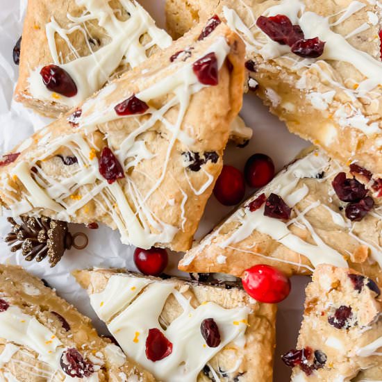 Cranberry White Chocolate Bliss Bar - Recipe photo by apaigeofpositivity