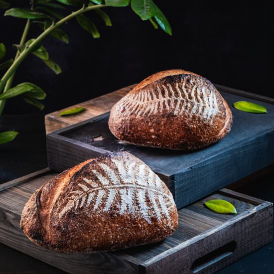 Open Crumb Sourdough Bread - Recipe photo by denisav