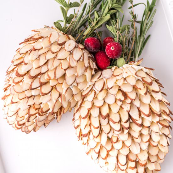 Pinecone Holiday Cheese Ball - Recipe photo by familyfreshmeals