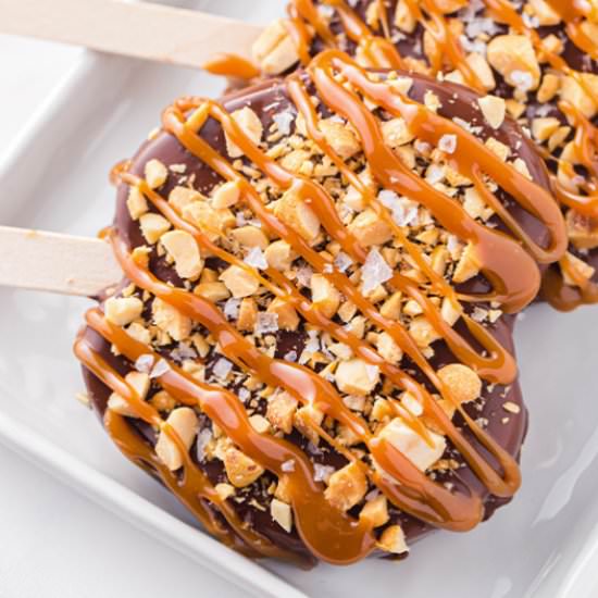 Chocolate Covered Apple Slices - Recipe photo by The Slow Roasted Italian